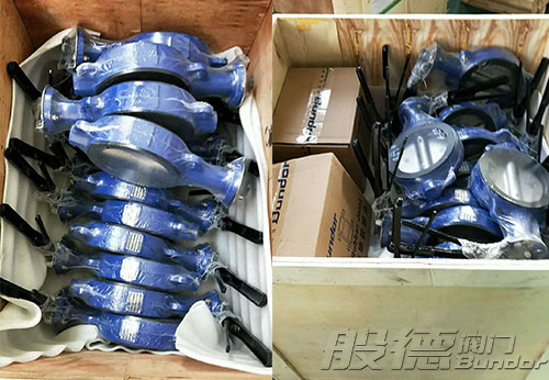 浙江某公司采購般德蝶閥、閘閥等多款產品