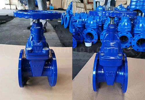 般德軟密封閘閥、過(guò)濾器出口柬埔寨