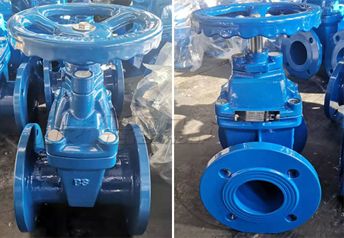 以色列某公司采購般德蝶閥、閘閥等產品