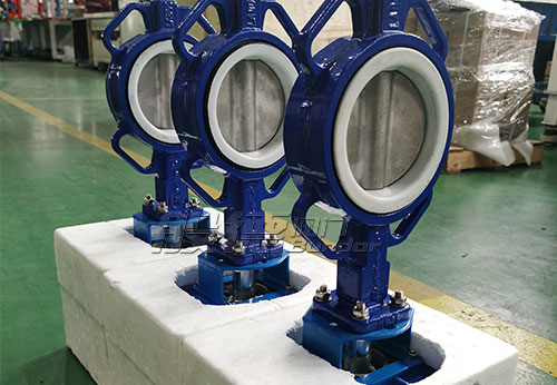 廣東某公司采購(gòu)般德襯氟蝶閥