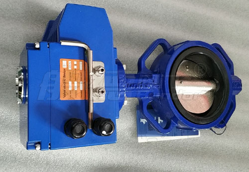 般德球墨鑄鐵蝶閥等產品出口柬埔寨