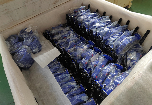 般德蝶閥、蝶式止回閥等產品出口澳大利亞